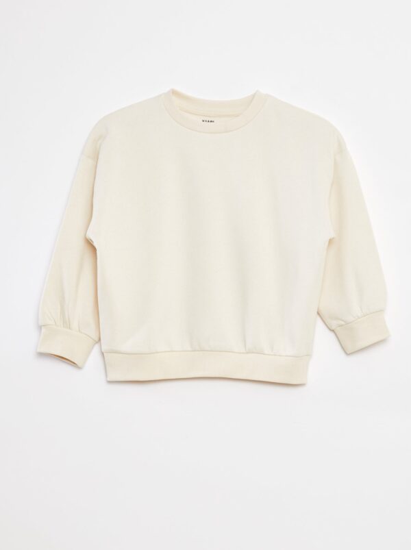 lot-de-2-sweats-unis-en-molleton-bleu